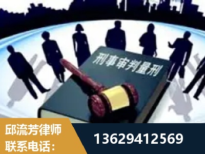 平果-诈骗类犯罪