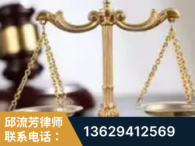 平果-委托诉讼代理人出庭
